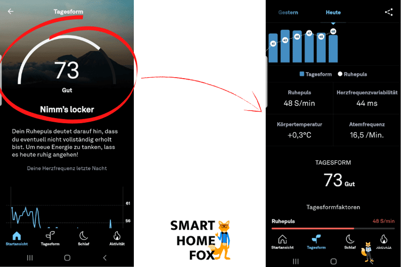 Die Tagesform ist in der Oura App zu sehen.